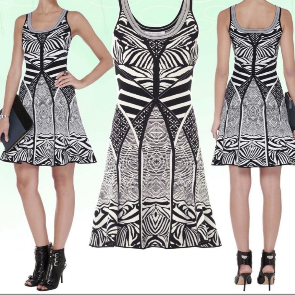 DVF fanny sleeveless fit and flare zebra tattoo dress
